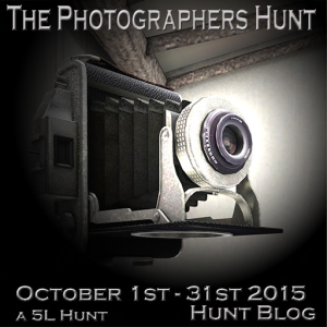 The Photographers Hunt Poster